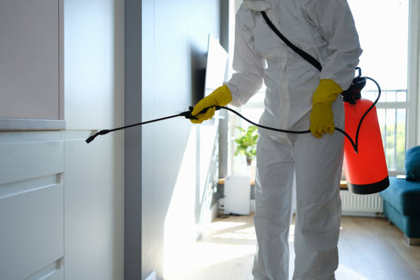 Best Home Mold Removal  in Upton, WY