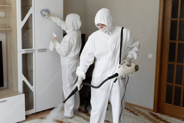 Best Mold Remediation  in Upton, WY