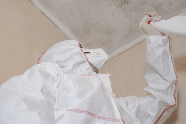 Best Mold Cleaning Services  in Upton, WY
